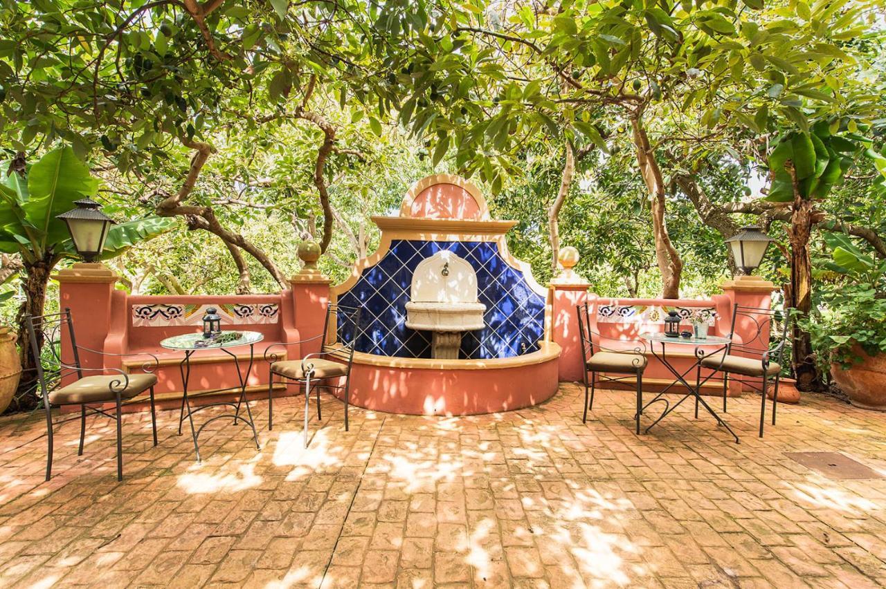 Homeforguest Cosy Rural Flat El Romero With Large Gardens Tacoronte Ngoại thất bức ảnh