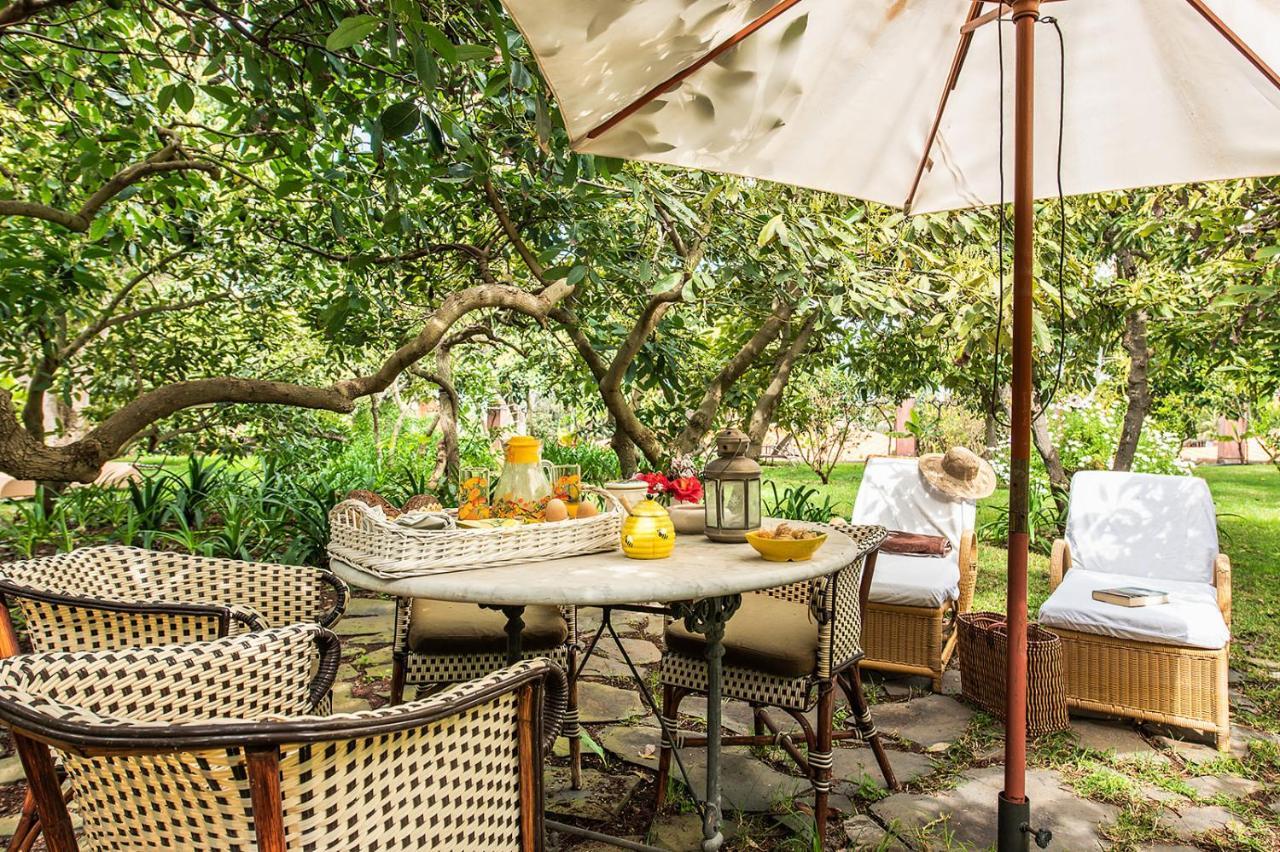 Homeforguest Cosy Rural Flat El Romero With Large Gardens Tacoronte Ngoại thất bức ảnh